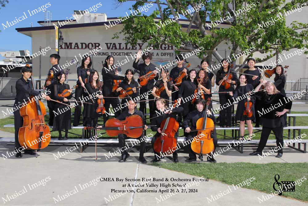 Musical Images